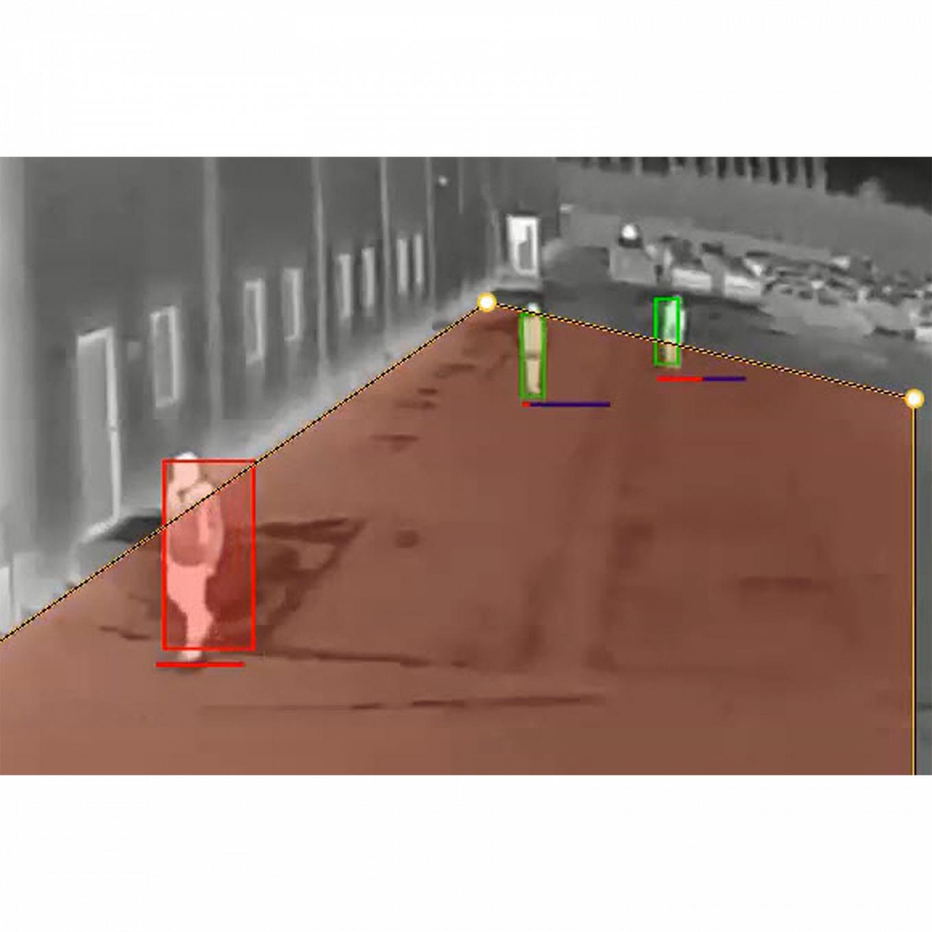 Objects being tracked by AXIS Loitering Guard