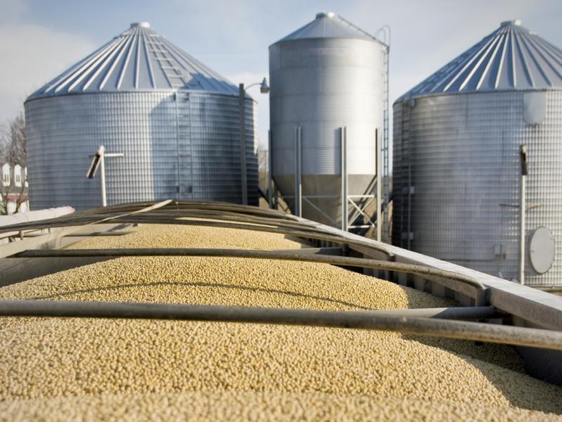 Grain storage in silos