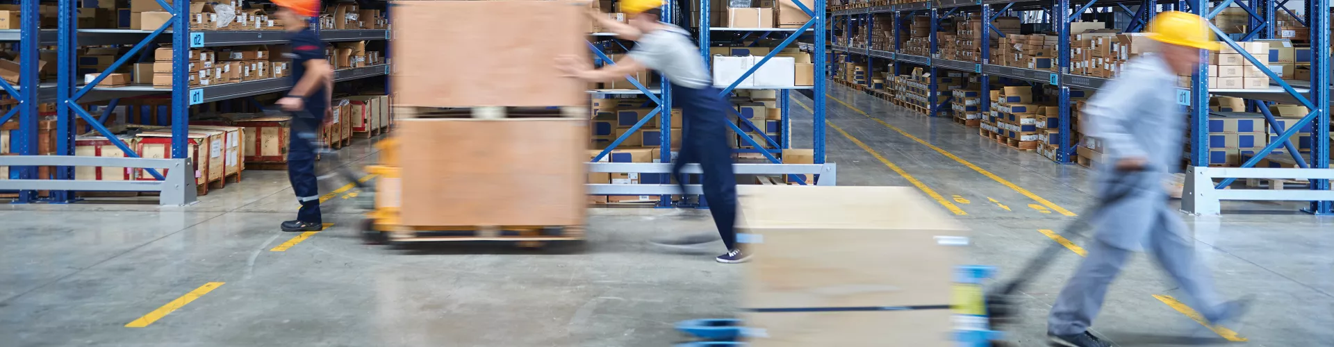 Workers with pallets in warehouse.
