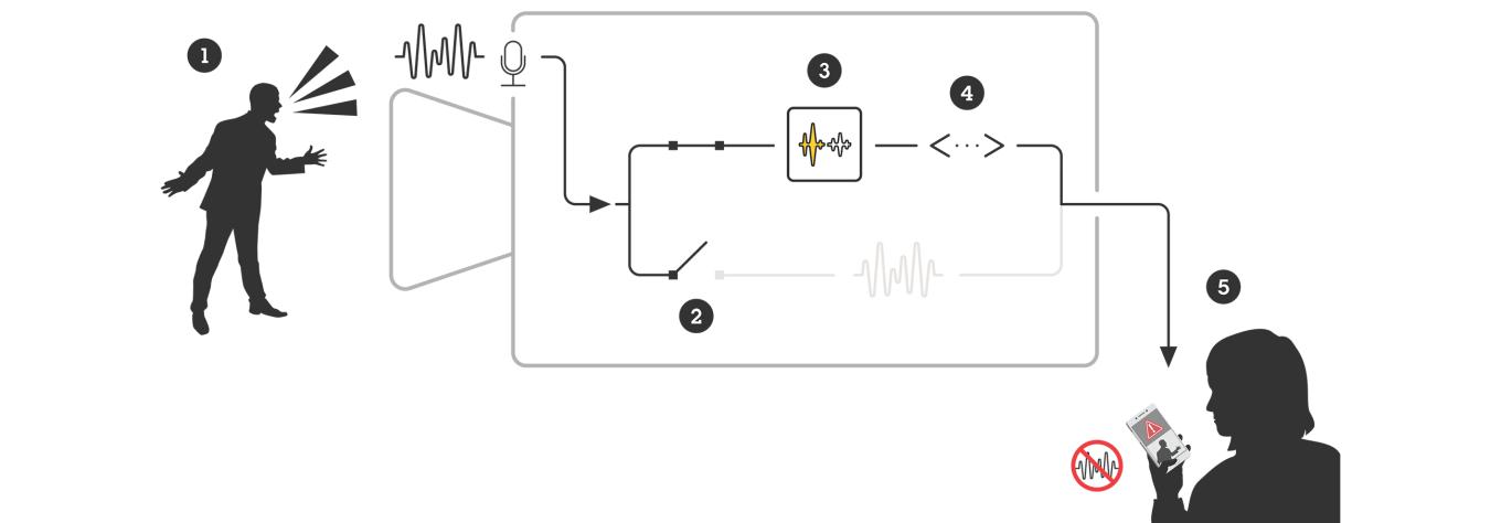 schematic illustration of audio analytics 
